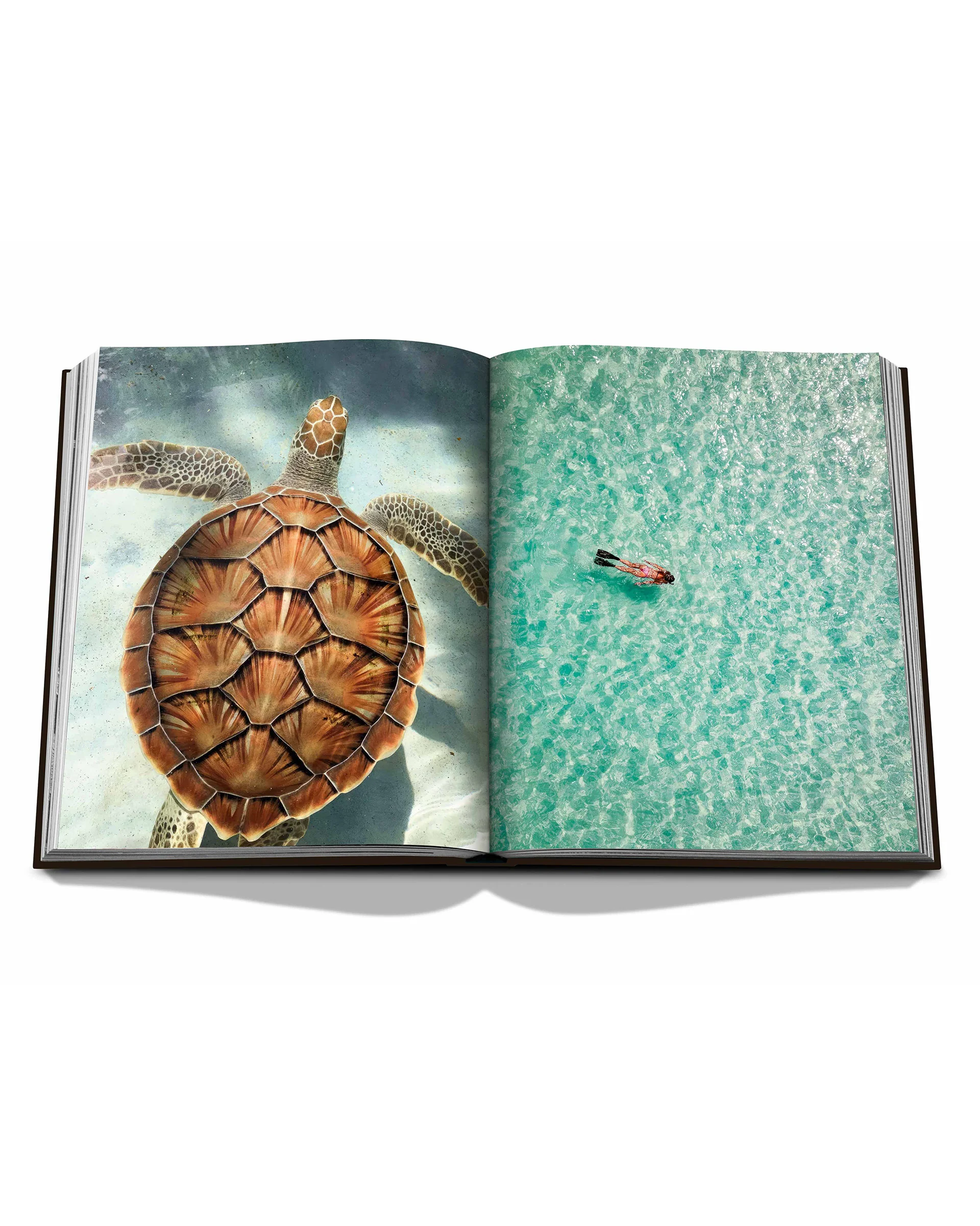 Jamaica Vibes - Image 5
