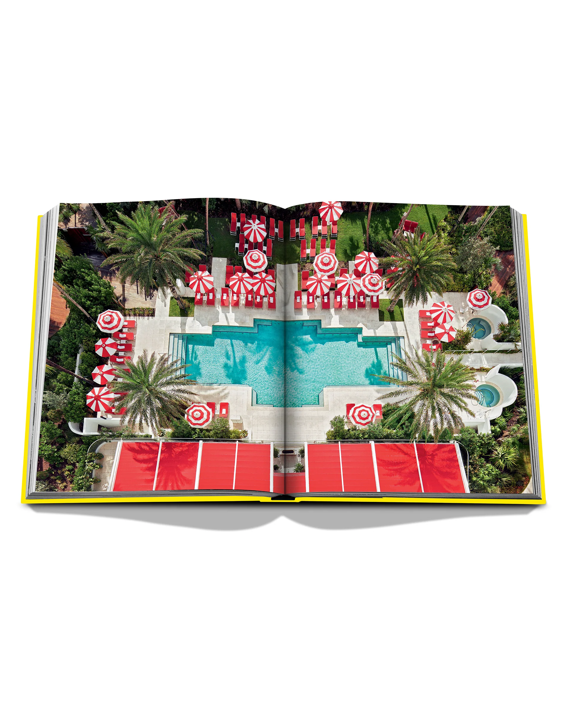 Miami Beach<BR/> - Image 5