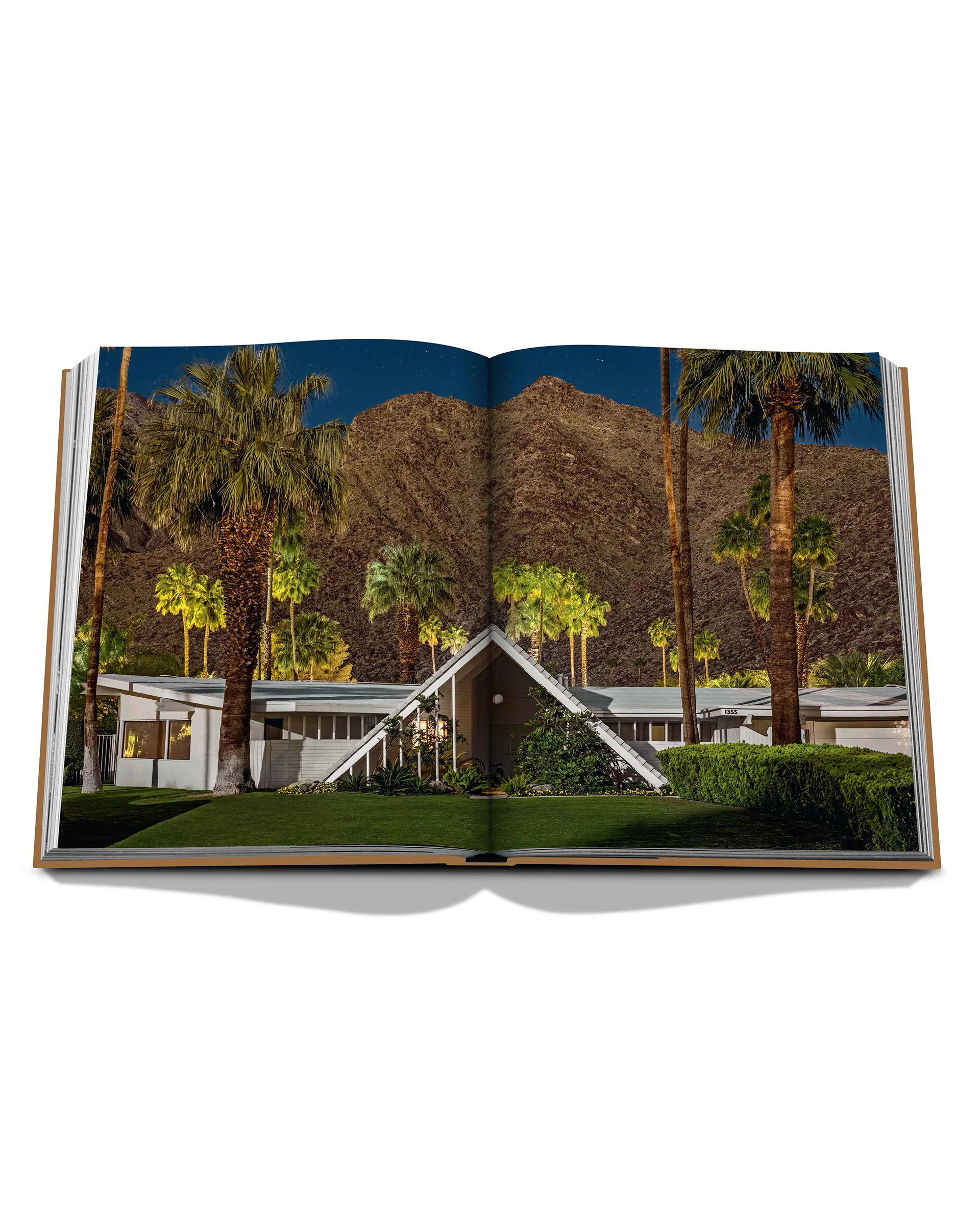 Palm Springs - Image 5